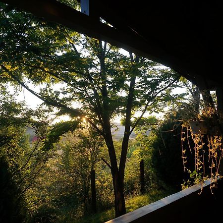 Natura Chalets Praid Ngoại thất bức ảnh